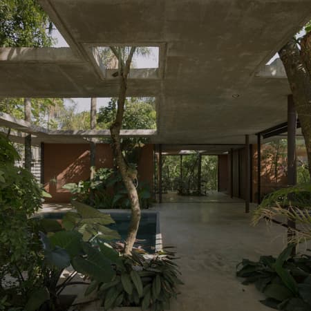 A Forest in the House